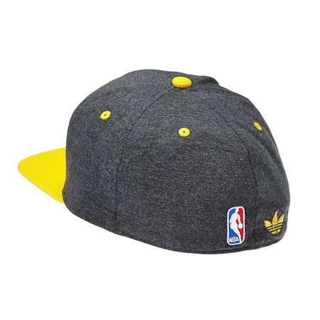 Adidas Original NBA Gorra Lakers Fitted (gris/amarillo)