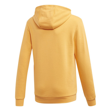 Adidas Originals Junior Trefoil Hoodie