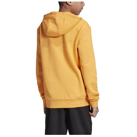 Adidas Originals Junior Trefoil Hoodie
