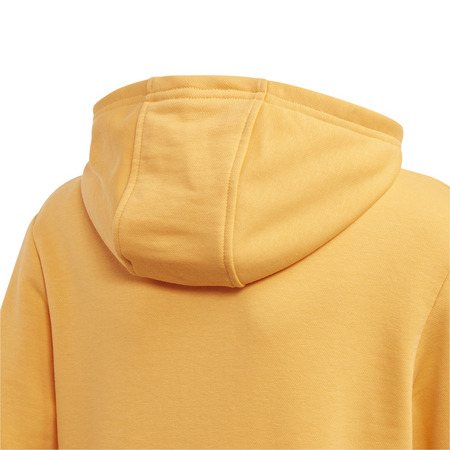 Adidas Originals Junior Trefoil Hoodie