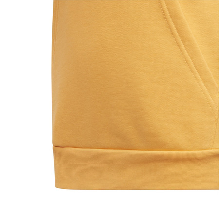 Adidas Originals Junior Trefoil Hoodie