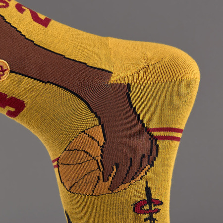 Stance NBA Future Legends L.James Socks