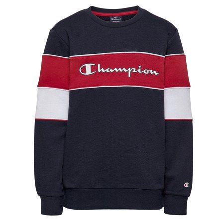 Champion Kids Classic Modular Blocking Color Crewneck Sweatshirt