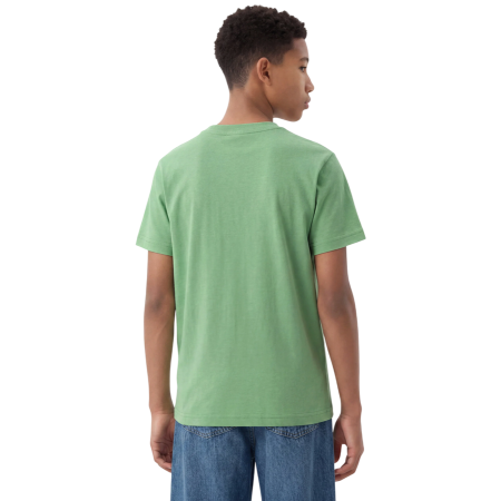 Camiseta Niño/Niña Champion Graphic Logo Powerblend "Light Olive Green"