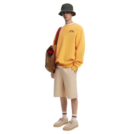 Desigual EMBROIDERED SWEATSHIRT  "Orange"