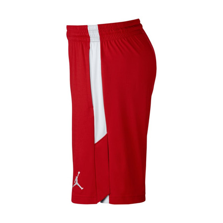 Jordan Dri-FIT 23 Alpha Training Shorts (657)