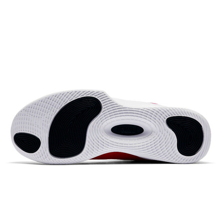 Jordan Ultra Fly 2 Low "Ledge"