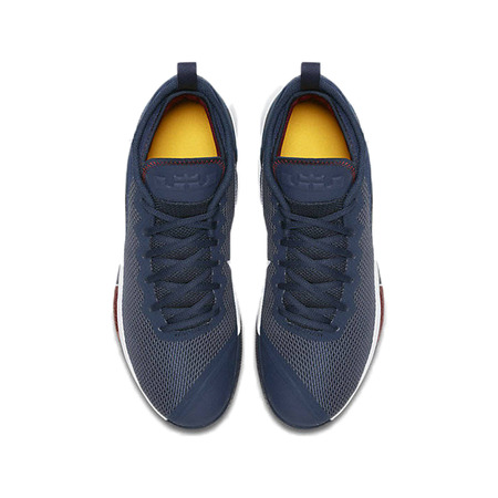 LeBron Witness II "Foreword" (406)