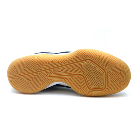 Nike Zoom Evidence II "Deeper" (400)