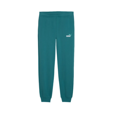 Pantalòn Puma ESS 2 COLOR Logo  "Emerald Ice"