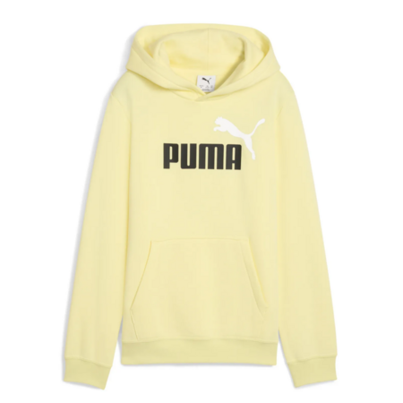 Puma ESS 2 COLOR Logo Hoodie FL "Gold Moon"