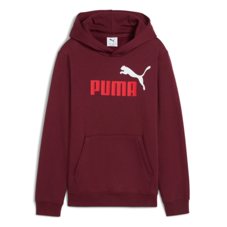 Puma ESS 2 COLOR Logo Hoodie FL "Ruby Shimmer"