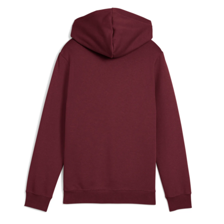 Puma ESS 2 COLOR Logo Hoodie FL "Ruby Shimmer"