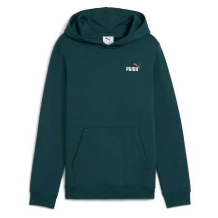 Puma ESS 2 COLOR Logo Hoodie "Green Terrain"