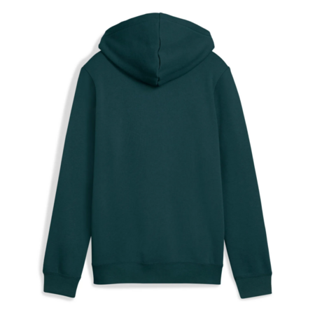 Puma ESS 2 COLOR Logo Hoodie "Green Terrain"