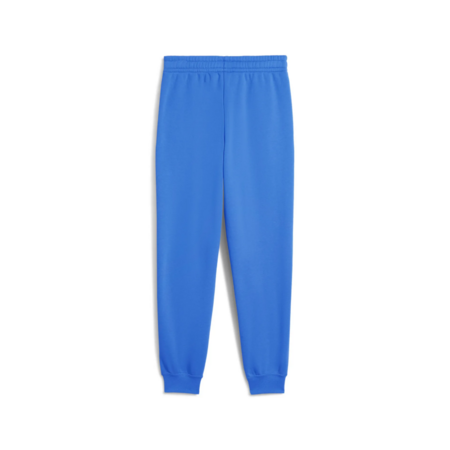 Puma ESS 2 COLOR Logo Sweatpants "Mountain Blue"