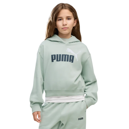 Sudadera Puma ESS 2 COLOR No. 1 Logo​ FL G "Créme De Mint"