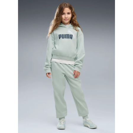 Sudadera Puma ESS 2 COLOR No. 1 Logo​ FL G "Créme De Mint"