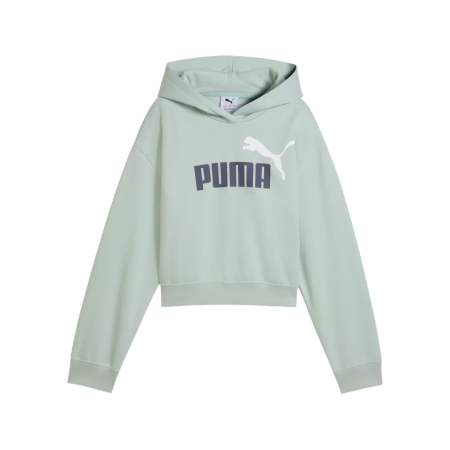 Sudadera Puma ESS 2 COLOR No. 1 Logo​ FL G "Créme De Mint"