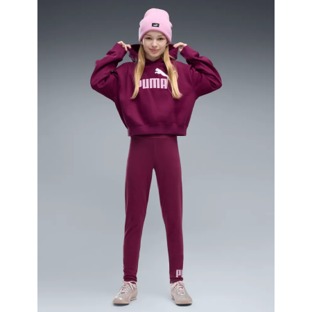Sudadera Puma ESS 2 COLOR No. 1 Logo​ FL G "Fuchsia Glow"