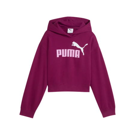 Sudadera Puma ESS 2 COLOR No. 1 Logo​ FL G "Fuchsia Glow"