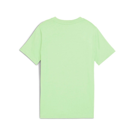 Puma ESS 2 COLOR Small No. 1 Logo Tee B "Spring Fern"