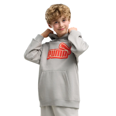 Sudadera Puma ESS LOGO LAB Relaxed FL B "Gray Echo"