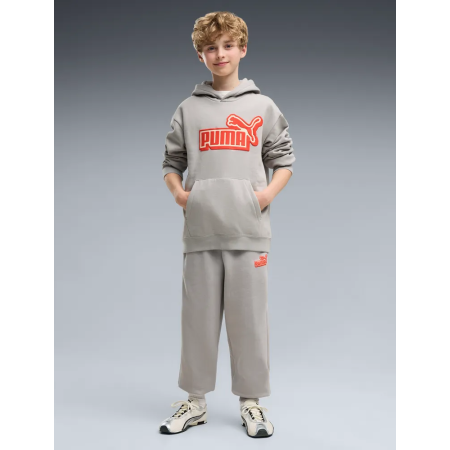 Sudadera Puma ESS LOGO LAB Relaxed FL B "Gray Echo"