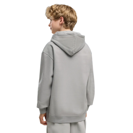 Sudadera Puma ESS LOGO LAB Relaxed FL B "Gray Echo"
