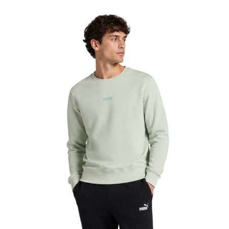 Sudadera Puma ESS Small No.1 Logo centered  FL "Soft Grass"