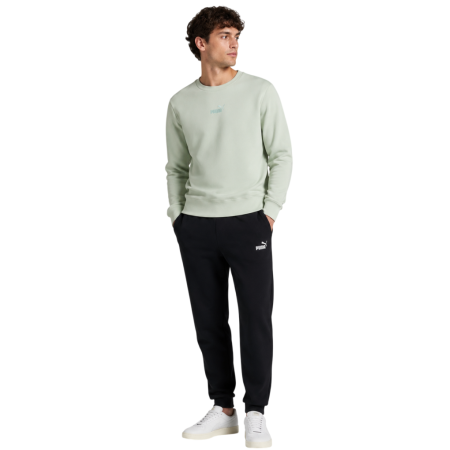 Sudadera Puma ESS Small No.1 Logo centered  FL "Soft Grass"