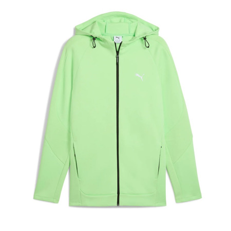 Puma EVOSTRIPE Full-Zip Hoodie DK "Spring Fern"