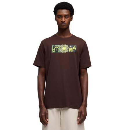 Camiseta Puma SUNSET DRIVE Graphic Tee "Brown"