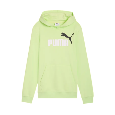 Sudadera Puma ESS 2 COLOR Logo " Apple Spritz"