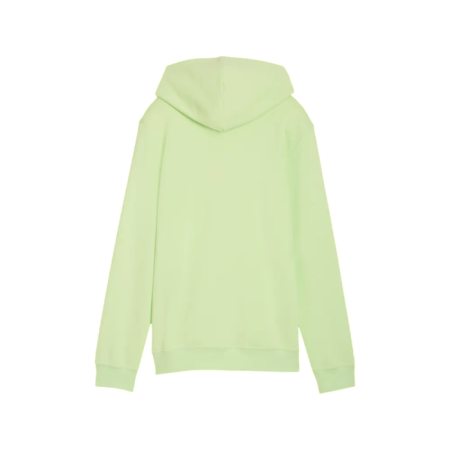 Sudadera Puma ESS 2 COLOR Logo " Apple Spritz"