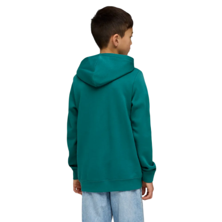 Sudadera Puma ESS 2 COLOR Logo "Emerald Ice"