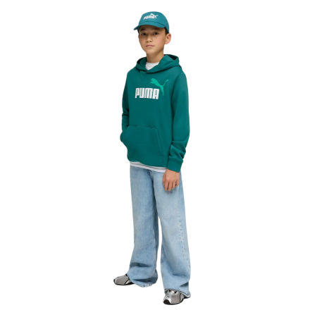 Sudadera Puma ESS 2 COLOR Logo "Emerald Ice"