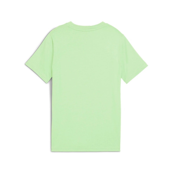 Puma ESS 2 COLOR Small No. 1 Logo Tee B "Spring Fern"