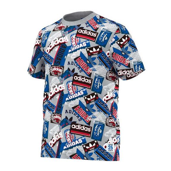 Adidas Originals Camiseta 25º Slam By Nigo (gris/multicolor)