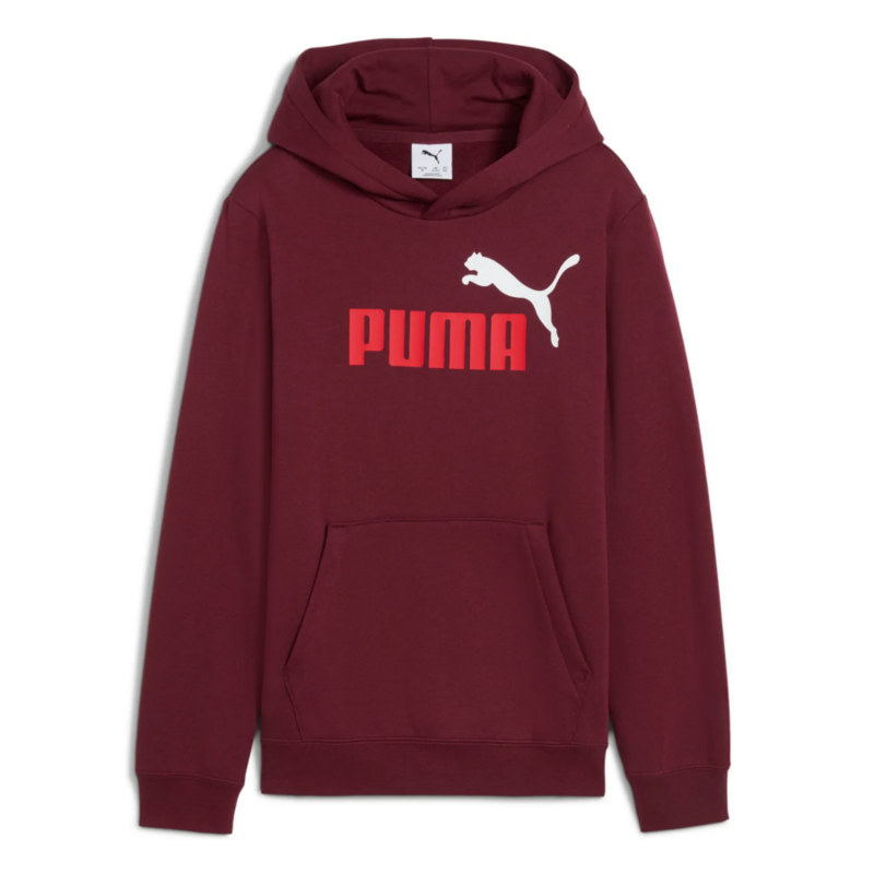 Puma ESS 2 COLOR Logo Hoodie FL "Ruby Shimmer"