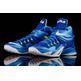 Nike Zoom LeBron Soldier VIII "PhotoBlue" (417/azul/volt/blanco)