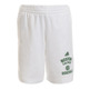 Adidas NBA Short Boston Celtics Washed  (blanco/verde)