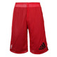 Adidas NBA Short Bulls Reversible Smer R (Negro/Rojo)