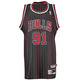 Adidas Camiseta Swingman Rodman Bulls (negro/roja/blanco)