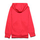 Adidas ClimaLite® Reload Liner Hood Q12 (rojo elegria)