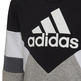 Adidas Boy´s Colorblock Fleece Hoodie