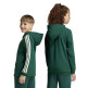 Sudadera Adidas CODES COLLEGIATE GRAPHIC "Green"