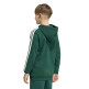 Sudadera Adidas CODES COLLEGIATE GRAPHIC "Green"