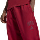 Pantalón Adidas COLLEGIATE  "Red"