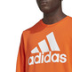 Adidas Essentials Big Logo Sweatshirt